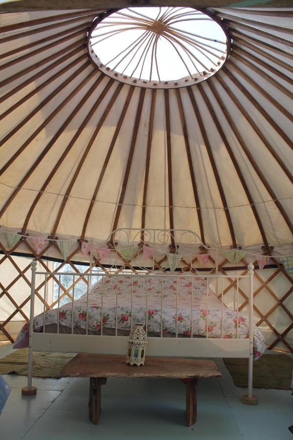 Mill Haven Place Glamping Yurt 3 Haverfordwest Εξωτερικό φωτογραφία
